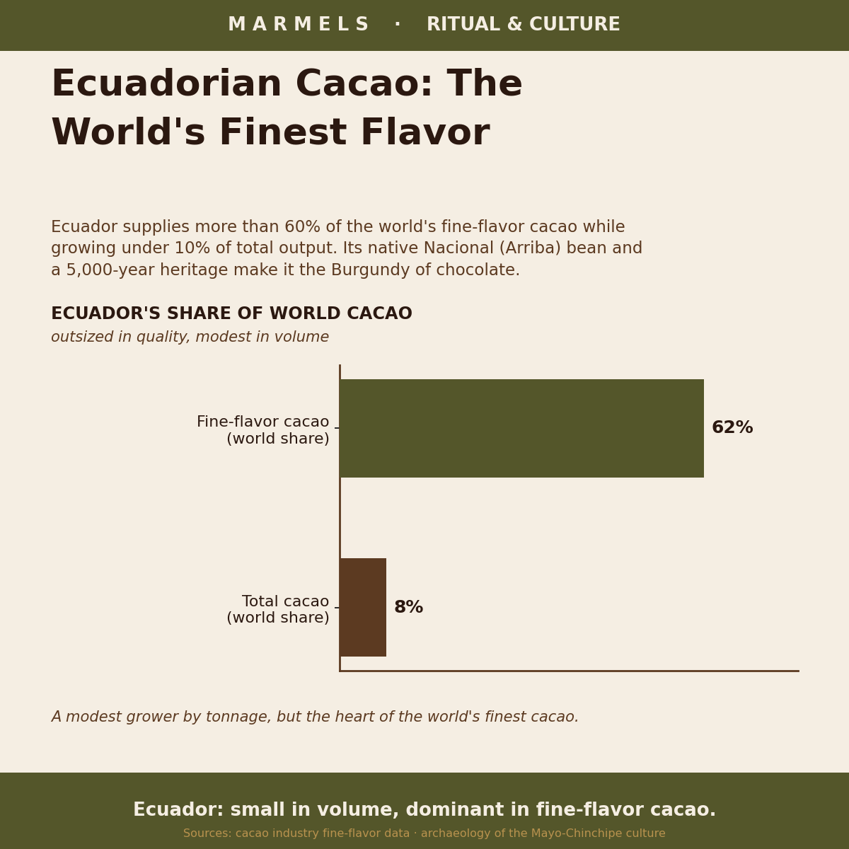 Ecuadorian Cacao: The World's Finest Flavor, Explained
