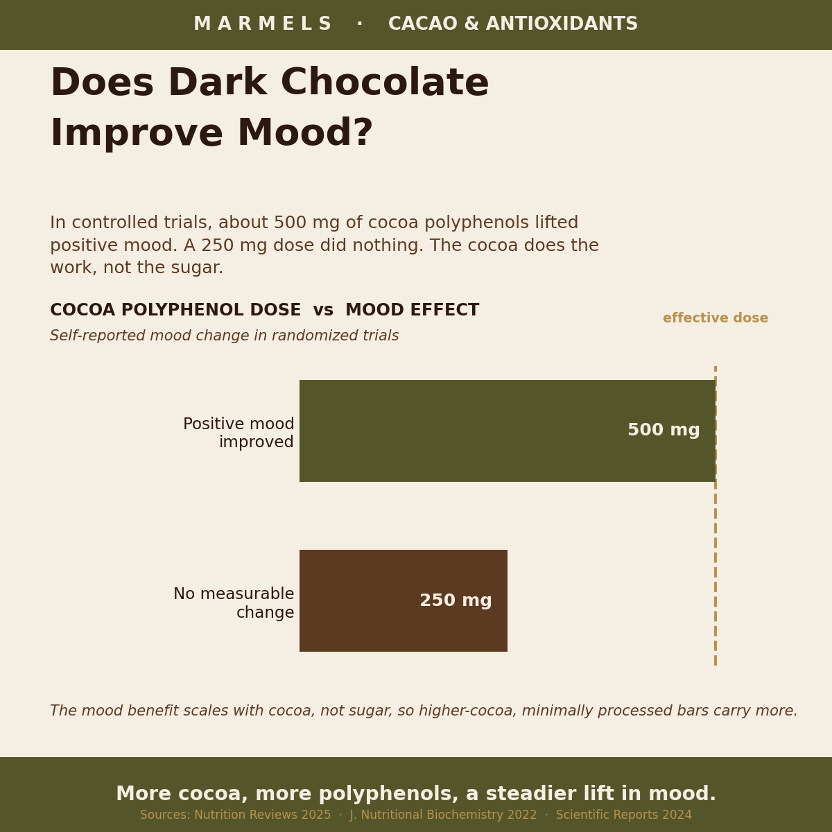 Does Dark Chocolate Improve Mood? What the Science Says