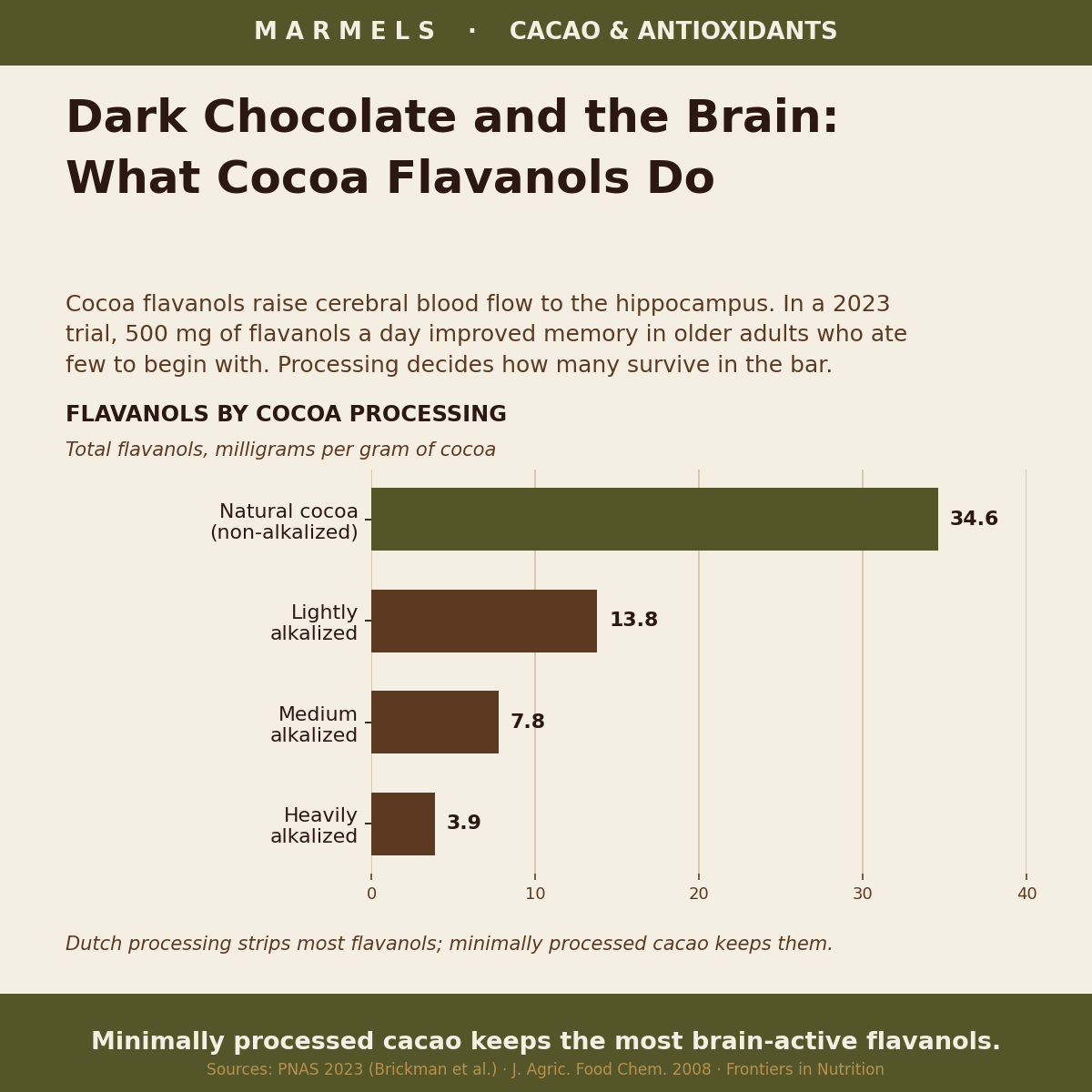 Dark Chocolate and Brain Function: The Flavanol Link