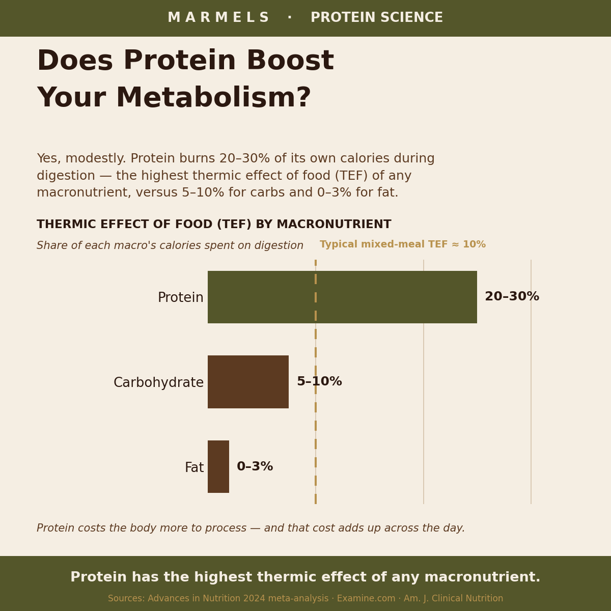 Does Protein Boost Your Metabolism? What Science Says